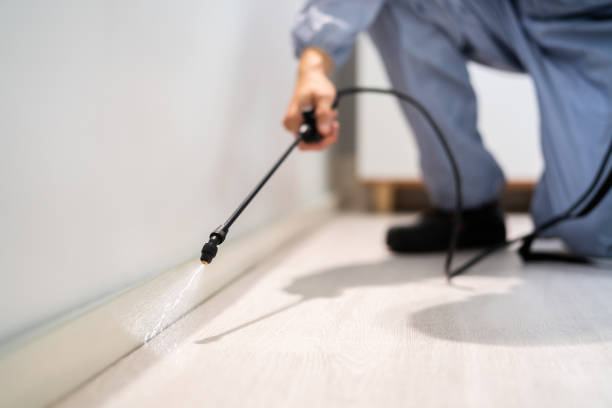 Licensed Pest Control service in Sherwood, OH - Show Me Pest Control