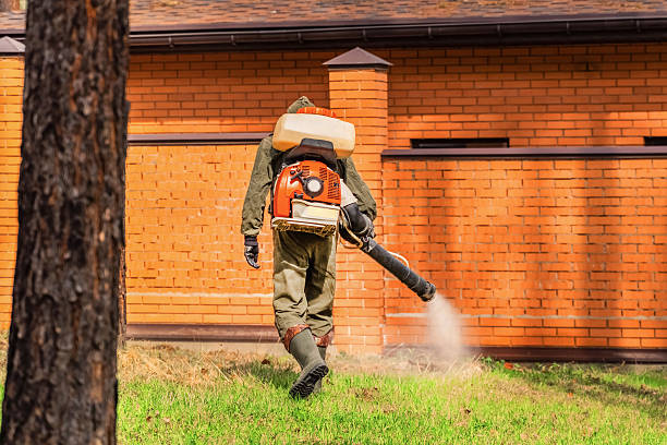 Top rated local Wasp Removal specialists in Sherwood, OH